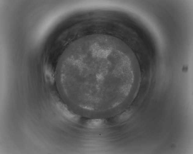 X0000112820479200909181630