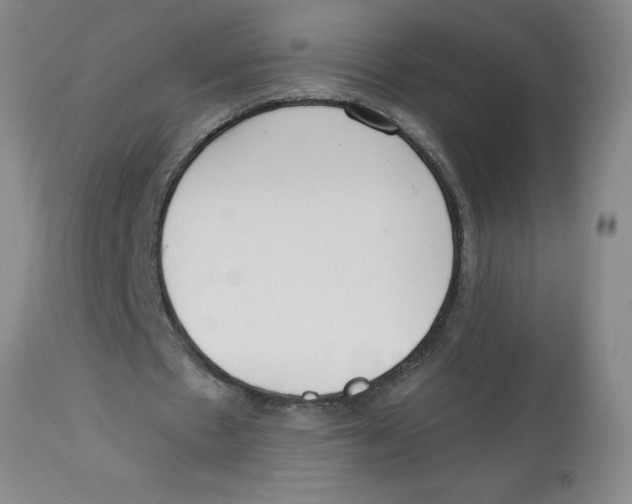 X0000112820481200909181629