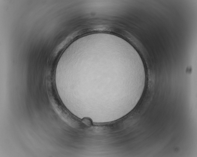 X0000112820482200909181629