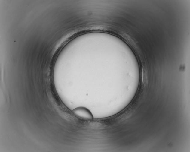 X0000112820483200909181629