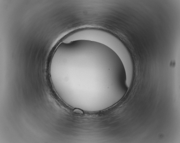 X0000112820484200909181629