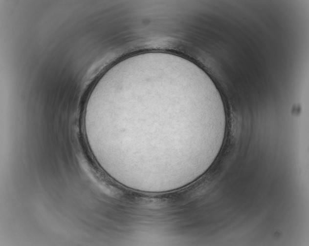 X0000112820486200909181629