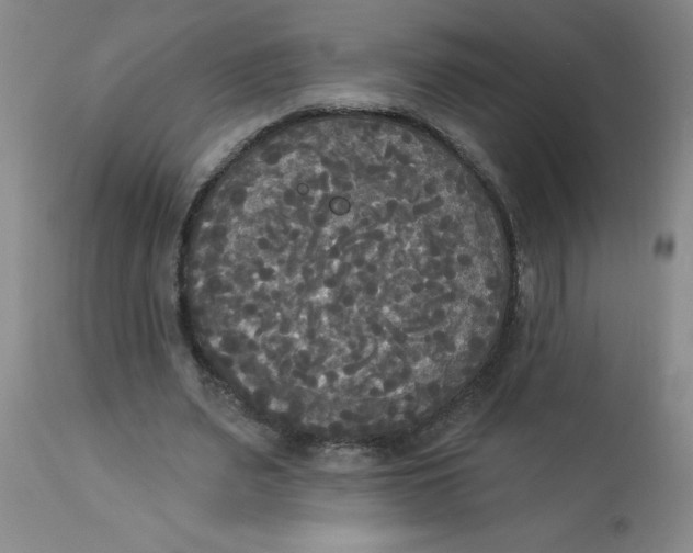 X0000112820487200909181629