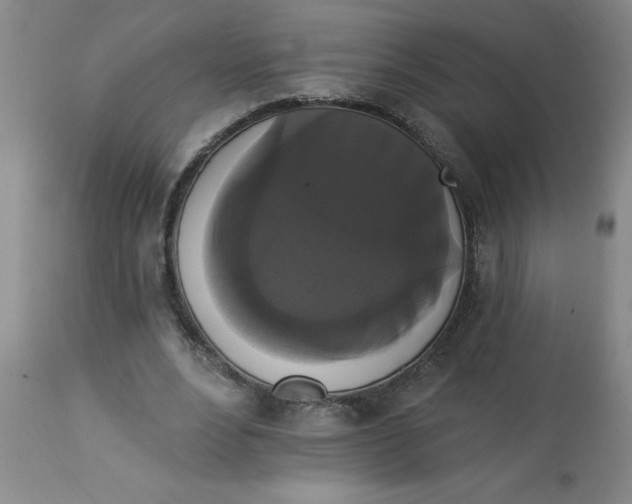 X0000112820488200909181629