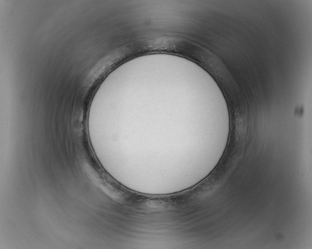 X0000112820490200909181629