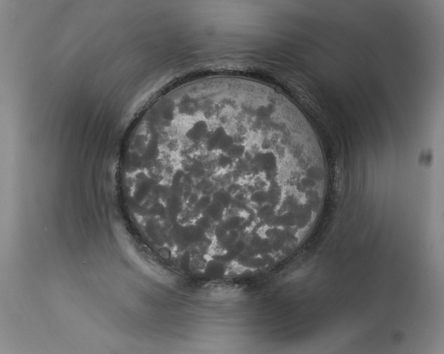 X0000112820491200909181628