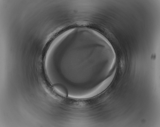 X0000112820492200909181628