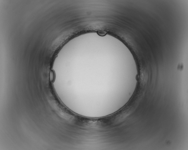 X0000112820493200909181628