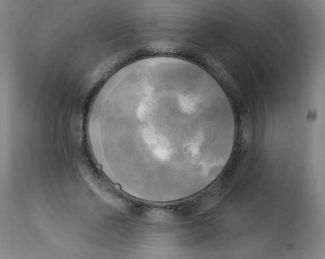 X0000112820494200909181628