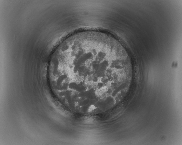 X0000112820495200909181628