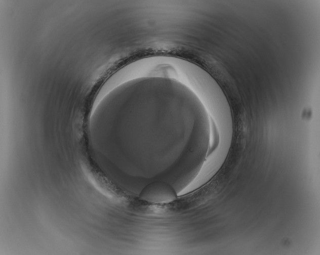 X0000112820496200909181628