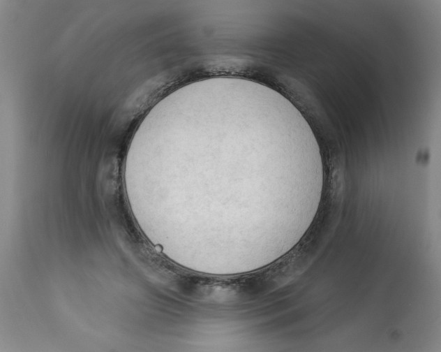 X0000112820498200909181628