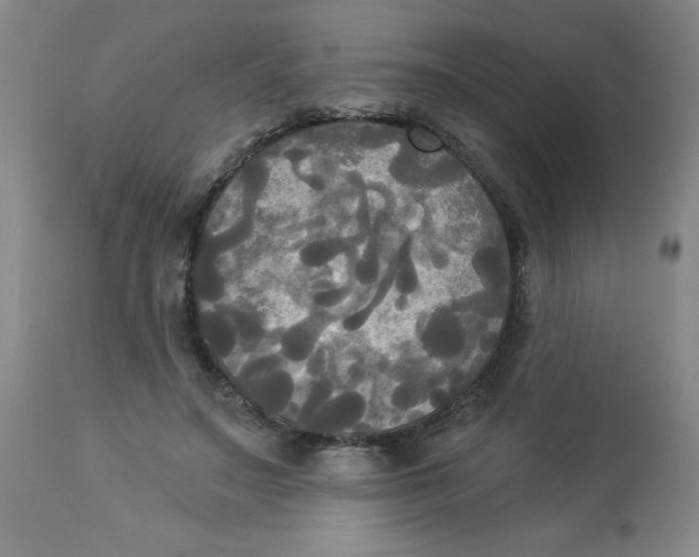 X0000112820499200909181628