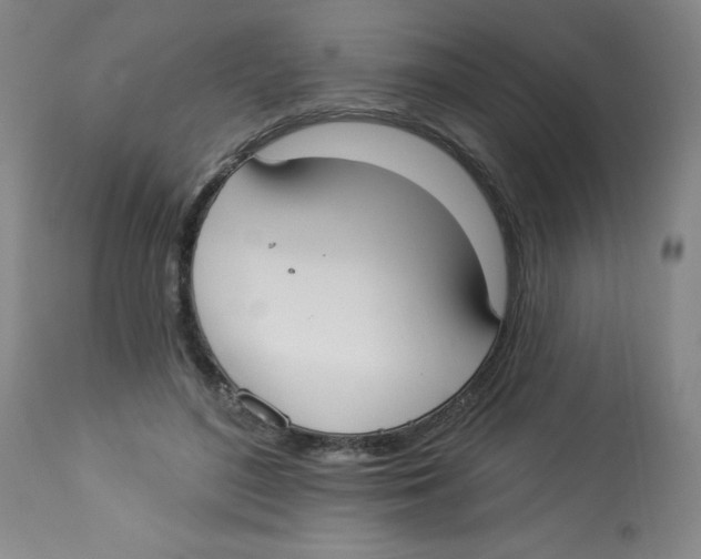 X0000112820500200909181628