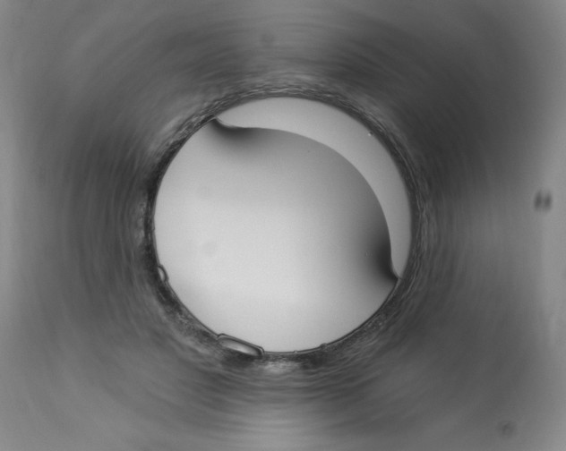 X0000112820501200909181628