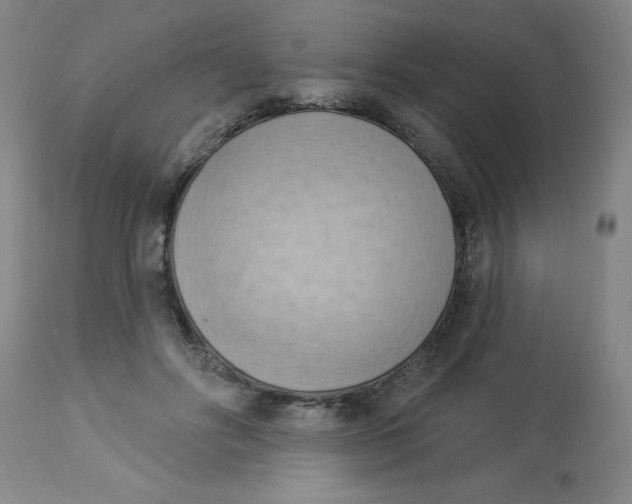 X0000112820502200909181628