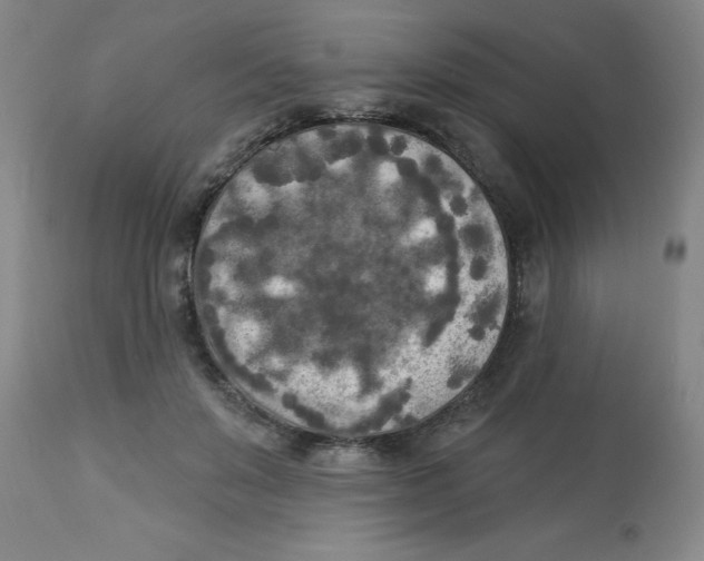 X0000112820503200909181628