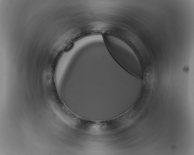 X0000112820504200909181628