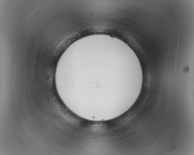 X0000112820505200909181628