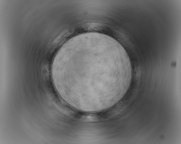 X0000112820506200909181628