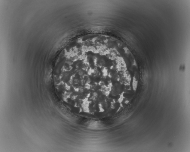 X0000112820507200909181628