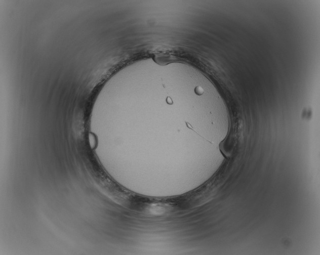 X0000112820508200909181628