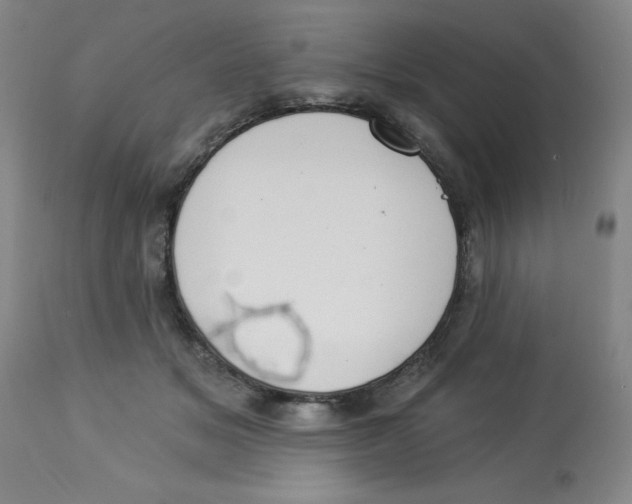 X0000112820509200909181628