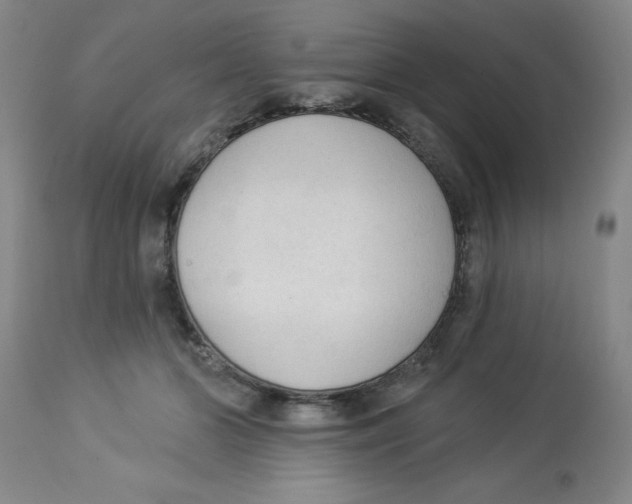 X0000112820510200909181628