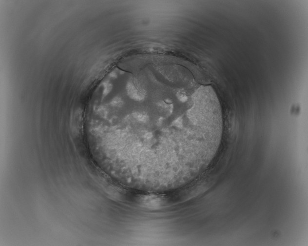 X0000112820511200909181628