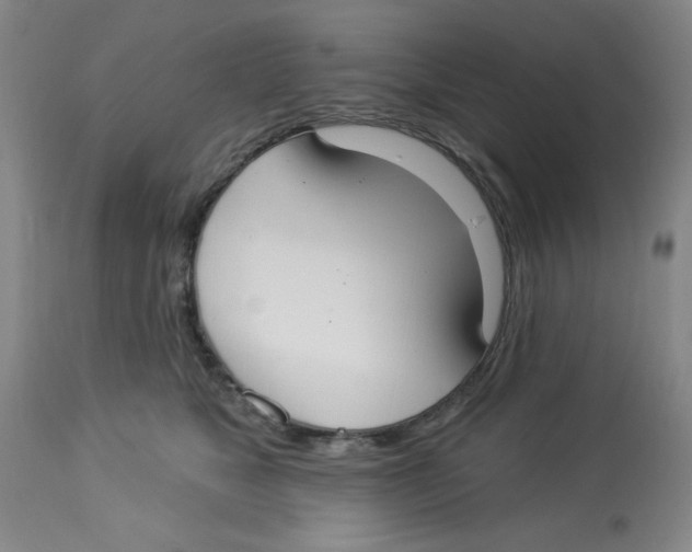 X0000112820517200909181628