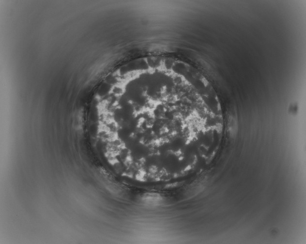 X0000112820519200909181628