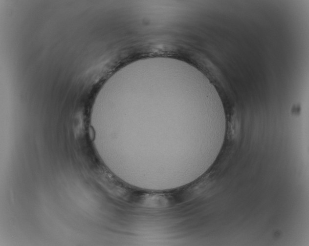 X0000112820520200909181628