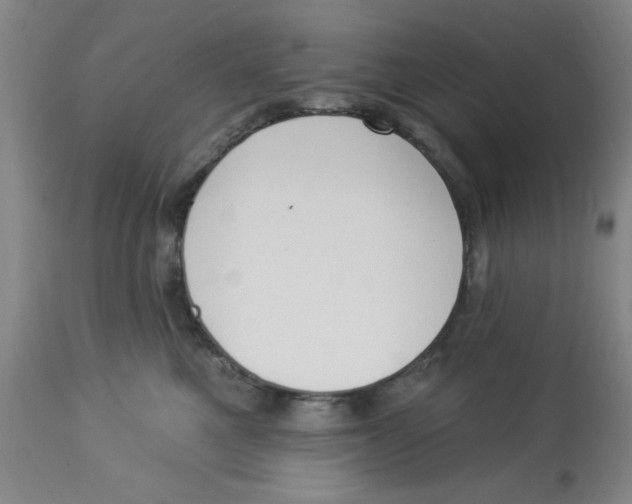 X0000112820521200909181628