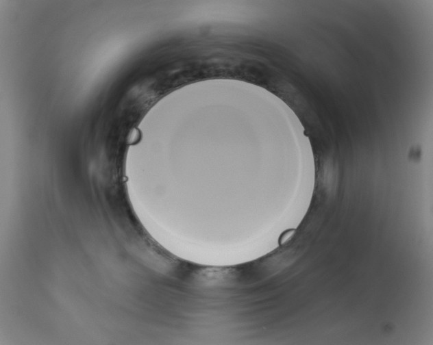 X0000112820526200909181628