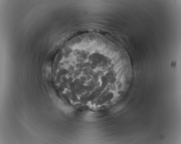 X0000112820527200909181628