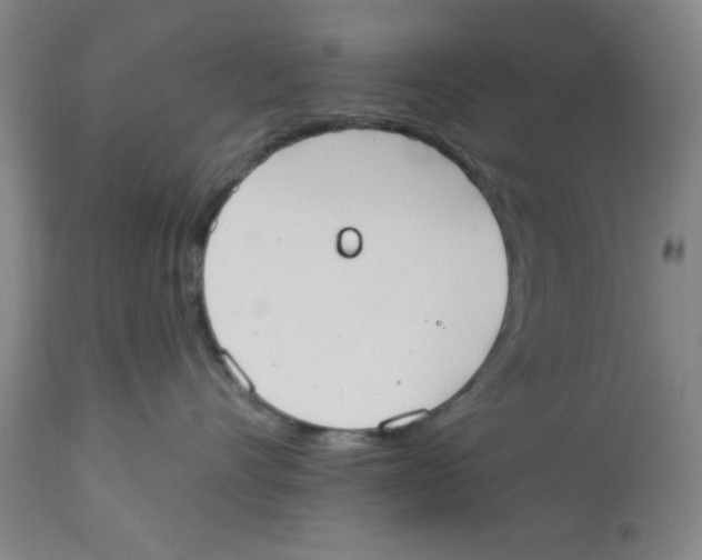 X0000112820528200909181628