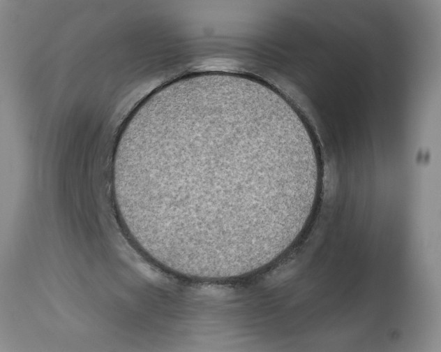 X0000112820529200909181627