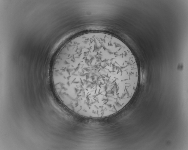 X0000112820531200909181627