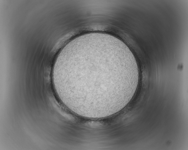 X0000112820537200909181627