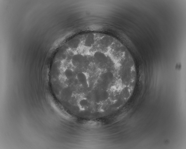 X0000112820542200909181627