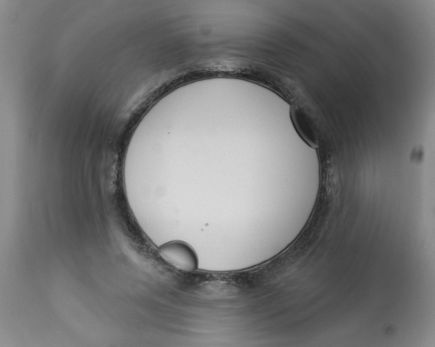 X0000112820544200909181627