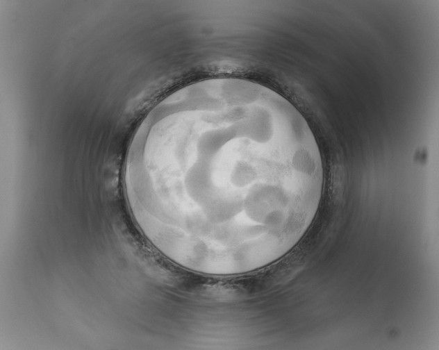 X0000112820545200909181627