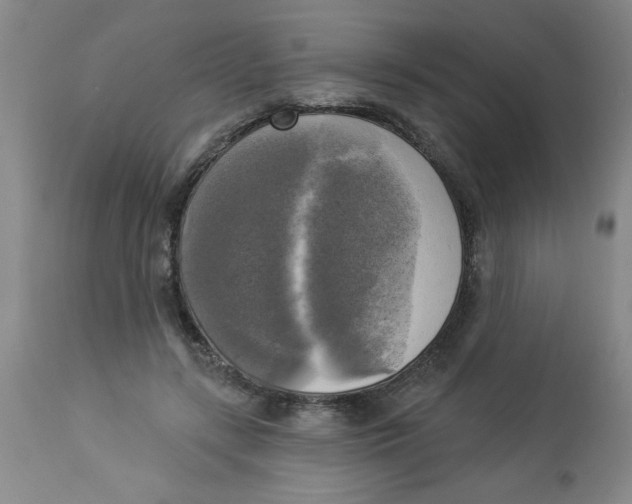 X0000112820547200909181627