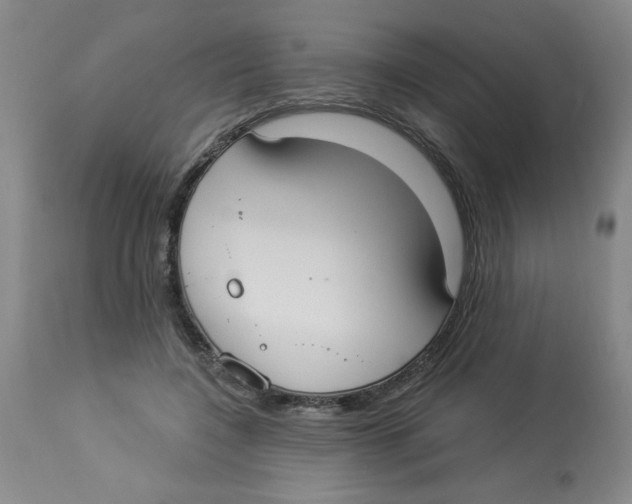 X0000112820548200909181627