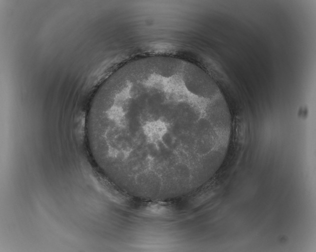 X0000112820550200909181627