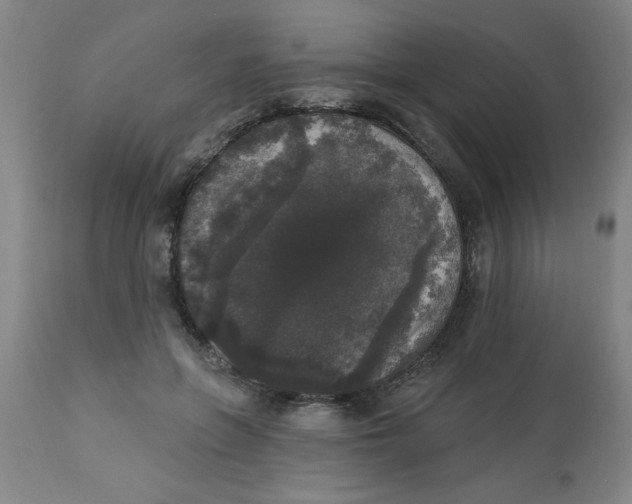 X0000112820551200909181627