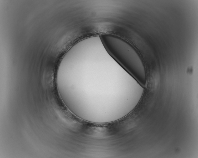 X0000112820552200909181627