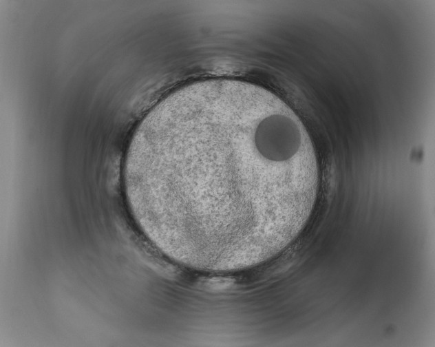 X0000112820554200909181627