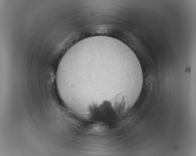 X0000112820555200909181627