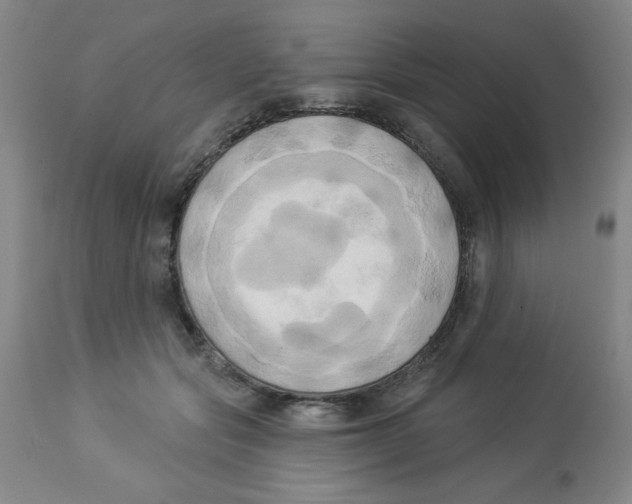 X0000112820557200909181627